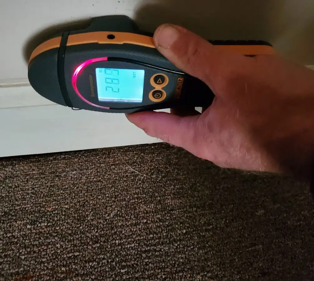 Moisture detection at baseboard during Mold Inspection & Testing in Red Oak