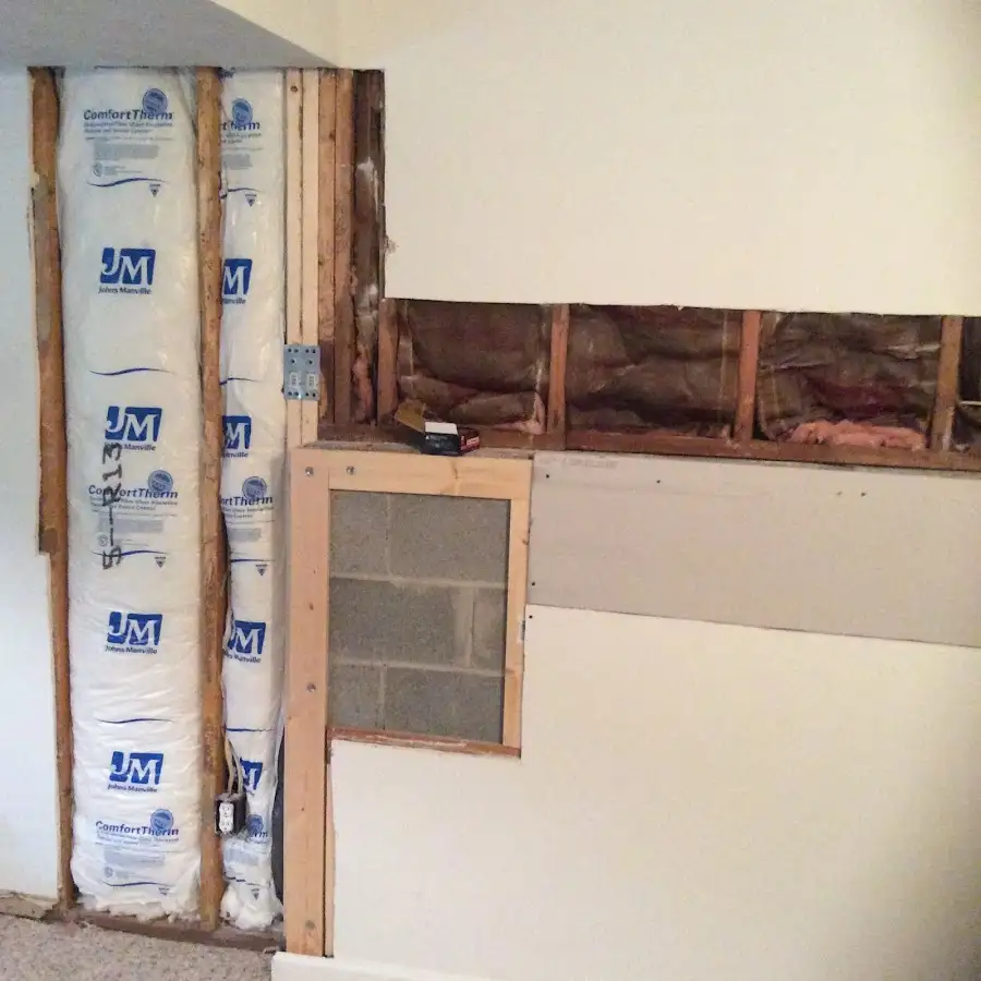 Wall insulation replacement during Odor Removal & Deodorization in Red Oak